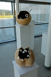 Razstava del Darinke Lapajne
