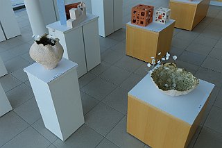 Razstava del Darinke Lapajne
