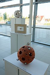 Razstava del Darinke Lapajne
